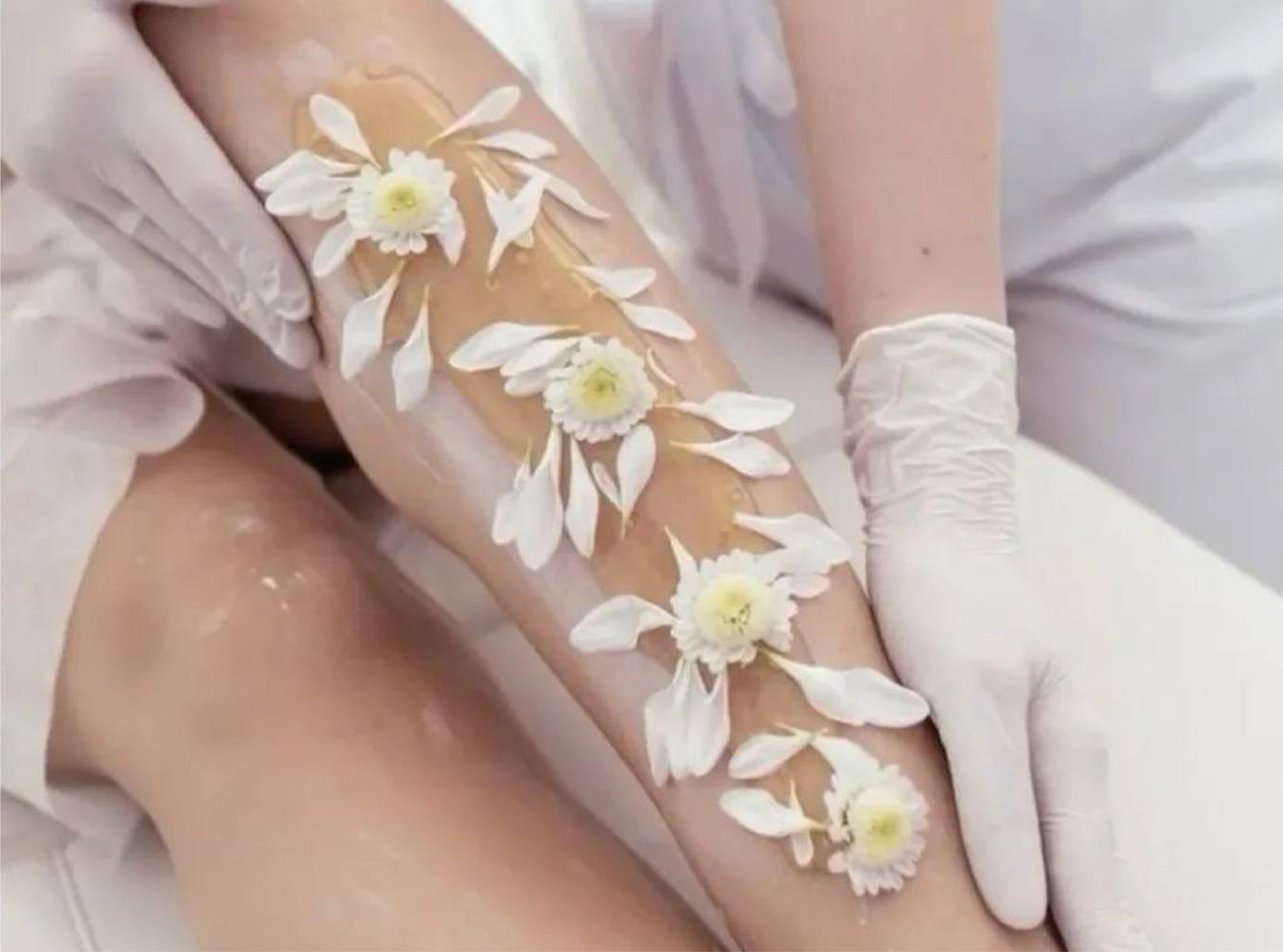 SUGARING BASIC — BODY